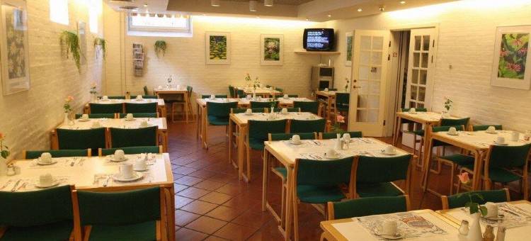 夜莺城市酒店(City Hotel Nattergalen)图片