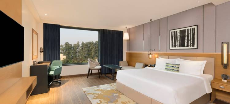 voco AMRITSAR by IHG图片