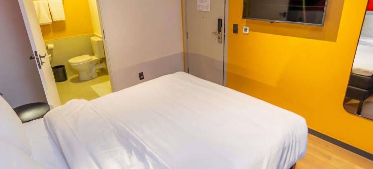 宜必思尚品彼得罗利纳酒店(ibis Styles Petrolina)图片
