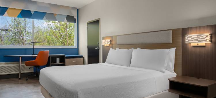 列克星敦马术公园地区洲际智选假日酒店(Holiday Inn Express Lexington Horse Park Area by IHG)图片