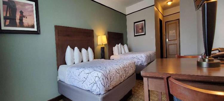 艾莫里福克湖贝斯特韦斯特优质套房酒店(Best Western Plus Emory at Lake Fork Inn  Suites)图片