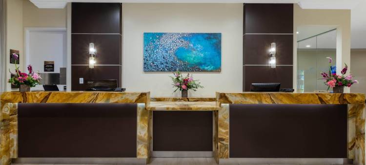 迪尔菲尔德海滩温德姆度假酒店(Wyndham Deerfield Beach Resort)图片