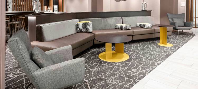 夏洛特机场莱克波因特SpringHill Suites酒店(SpringHill Suites Charlotte Airport Lake Pointe)图片