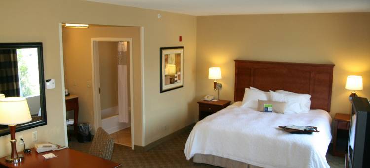 希尔顿欢朋套房酒店-帕迪尤卡(Hampton Inn & Suites Paducah)图片