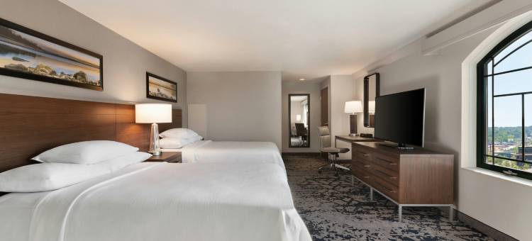 国际机场DFW北外界希尔顿安泊酒店(Embassy Suites by Hilton Grapevine DFW Airport North)图片
