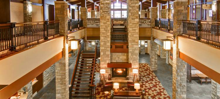 希尔顿逸林瀑布观景水疗度假村-尼亚加拉瀑布(DoubleTree Fallsview Resort & Spa by Hilton - Niagara Falls)图片