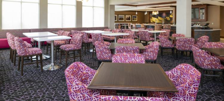 印第安纳波利斯南格林伍德希尔顿花园客栈(Hilton Garden Inn Indianapolis South/Greenwood)图片