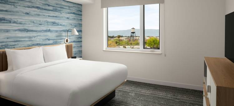圣何塞市中心TownePlace Suites酒店(TownePlace Suites San Jose Downtown)图片