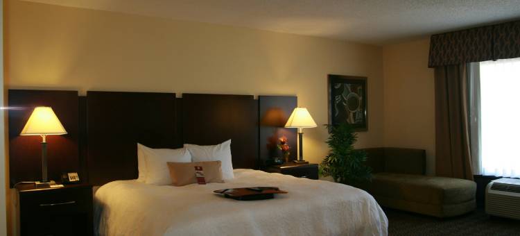 奥兰多约翰杨大路/南公园欢朋套房酒店(Hampton Inn & Suites Orlando-John Young Pkwy/S Park)图片