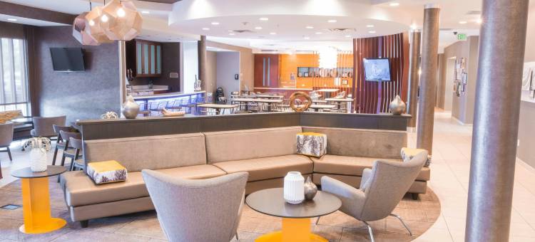 达拉斯路易斯维尔万豪SpringHill Suites 酒店(SpringHill Suites Dallas Lewisville)图片