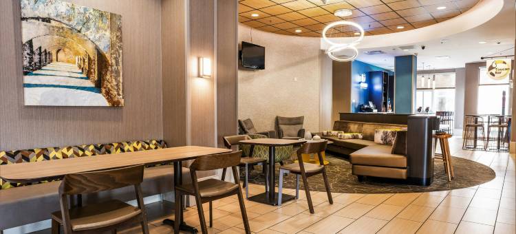 圣安东尼奥市阿拉莫广场／会议中心万豪SpringHill酒店(SpringHill Suites San Antonio Alamo Plaza/Convention Center)图片