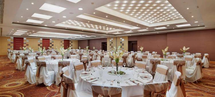 布达佩斯皇冠假日酒店(Crowne Plaza Budapest)图片