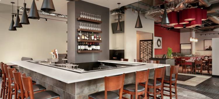 芝加哥市中心南环路希尔顿花园酒店(Hilton Garden Inn Chicago Downtown South Loop)图片