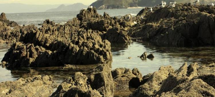 桑克森克索新诺拉旅馆(Nuevo Norat Sanxenxo)图片