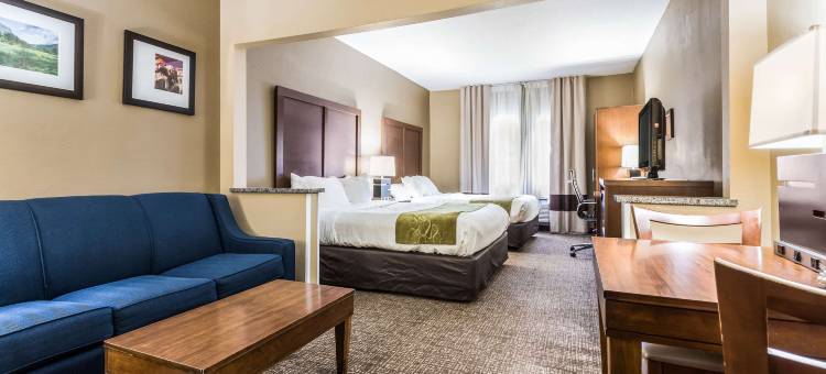 苏福尔斯购物中心区舒适套房酒店(Comfort Suites Sioux Falls Mall District)图片