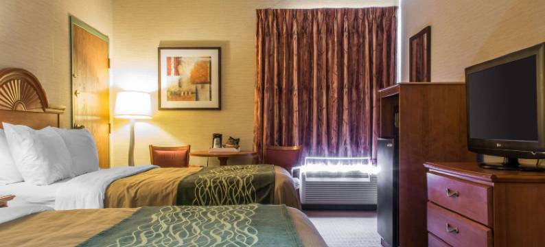 凯艺套房酒店(Quality Inn & Suites)图片