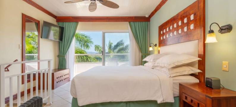 塔马林德西洋酒店-全包(Occidental Tamarindo - All Inclusive)图片