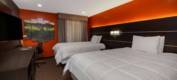 Hotel Vinea, a Travelodge by Wyndham图片