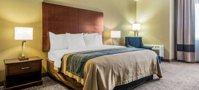 亚特兰大市区南舒适酒店(Comfort Inn Atlanta Downtown South)图片