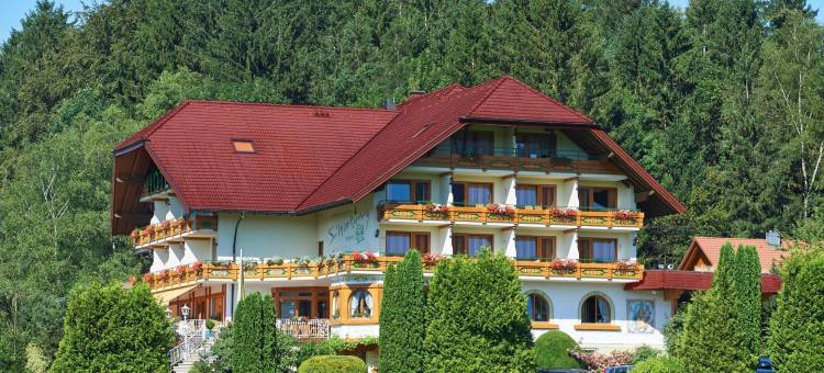 黑森林斯贝科隆环形酒店(Silberkönig Schwarzwald Hotel & Restaurant Ringhotel)图片