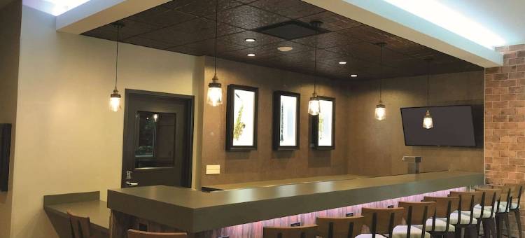 新奥尔良市中心拉昆塔温德姆套房酒店(La Quinta Inn & Suites by Wyndham New Orleans Downtown)图片