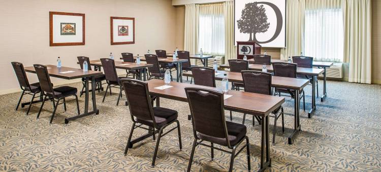 奥林匹亚希尔顿逸林酒店(DoubleTree by Hilton Olympia)图片