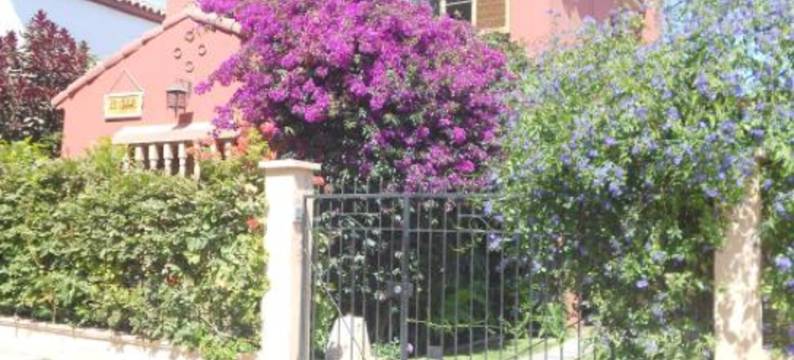 EL ARBOL旅舍(El Arbol Hostel)图片