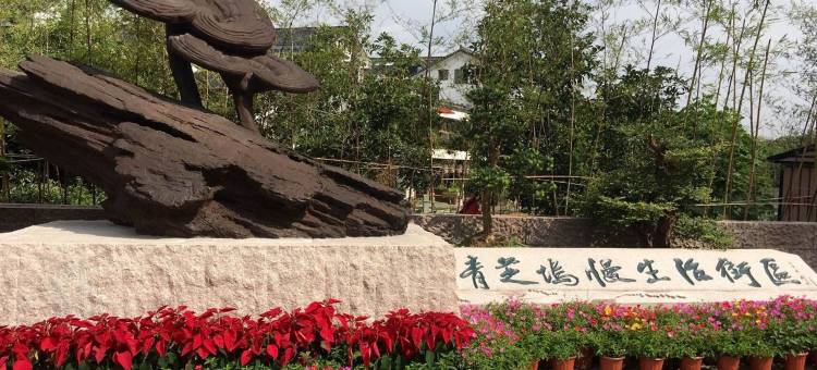 杭州漫月庭民宿(西湖景区青芝坞店)图片