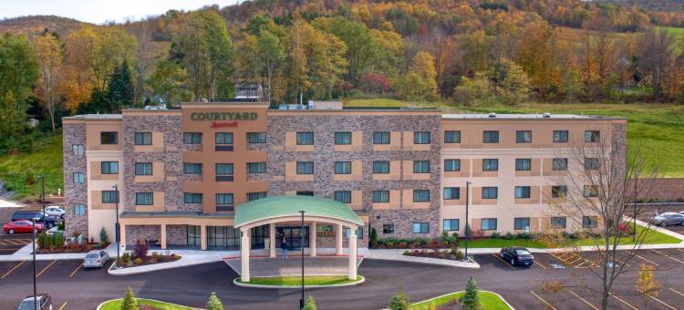 奥尼昂塔万怡酒店(Courtyard by Marriott Oneonta Cooperstown Area)图片