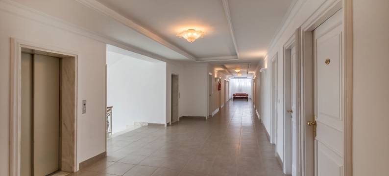 戴勒帕姆酒店(Hotel Delle Palme)图片