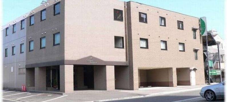 绿色皇宫酒店(Hotel Green Palace)图片