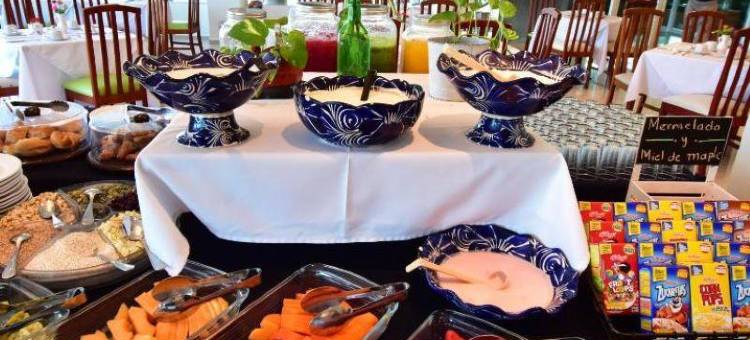 米森莱昂酒店(Hotel Mision Leon)图片