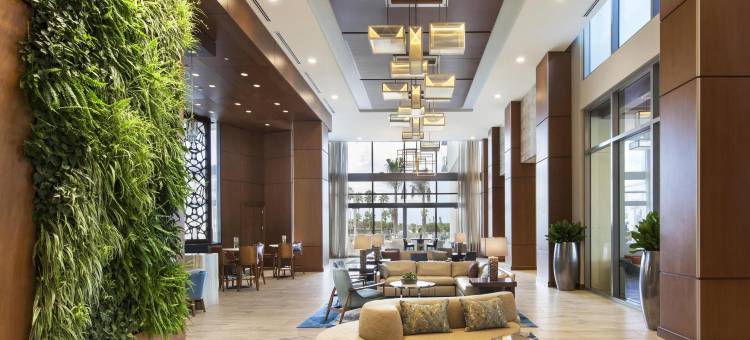 萨拉索塔威斯汀酒店(The Westin Sarasota)图片
