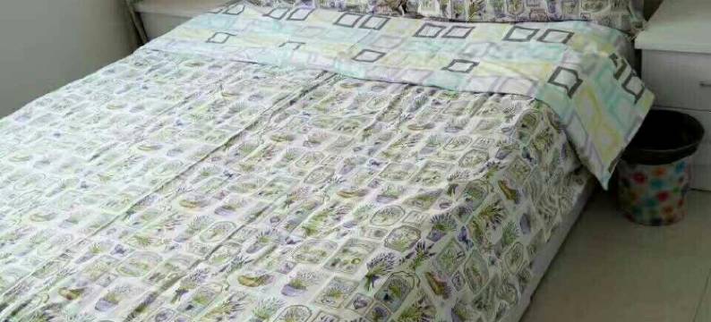 涞源人公寓(开源路分店)图片