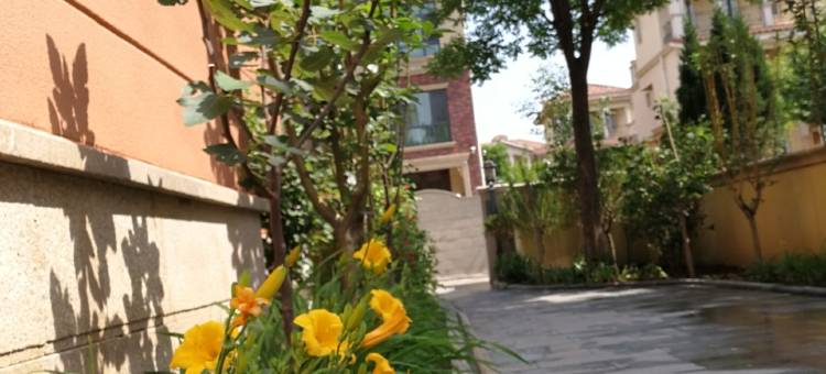 东丽湖东玥会所轰趴聚会别墅民宿(鹏展道分店)图片