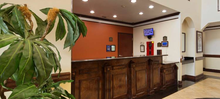 孤星贝斯特韦斯特酒店(Best Western Lone Star Inn)图片