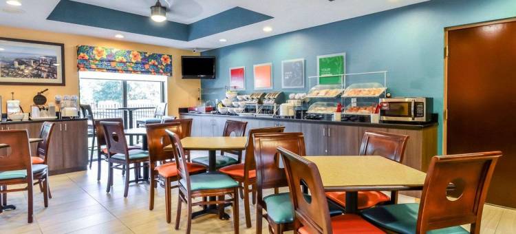 舒适套房酒店-坦帕布兰登(Comfort Suites Tampa - Brandon)图片