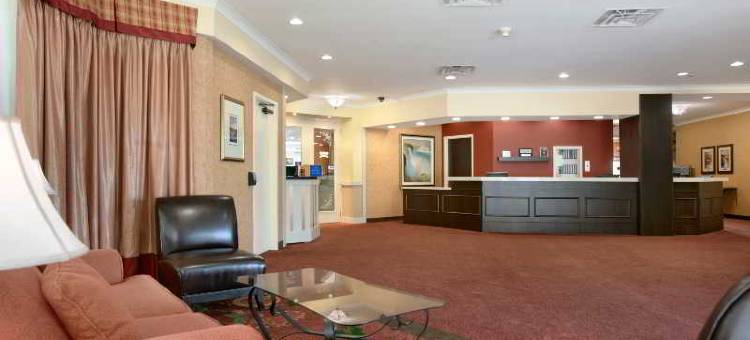 尼亚加拉瀑布/瀑布景观华美达酒店(Ramada by Wyndham Niagara Falls/Fallsview)图片