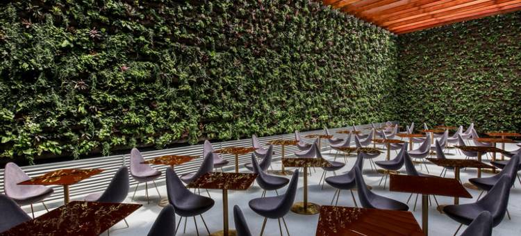 利马圣伊西德罗温德姆Dazzler酒店(Dazzler by Wyndham Lima San Isidro)图片