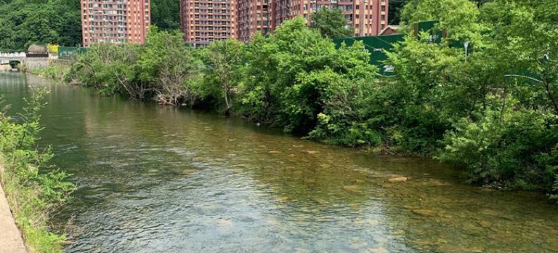 小石潭温泉民宿(胡汤线2号分店)图片