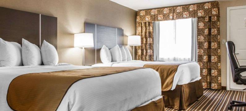 品质酒店及套房(Quality Inn & Suites)图片