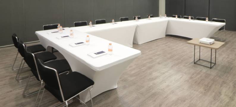 蒙特雷盖勒瑞斯万豪城市快捷普拉斯酒店(City Express Plus by Marriott Monterrey Galerias)图片