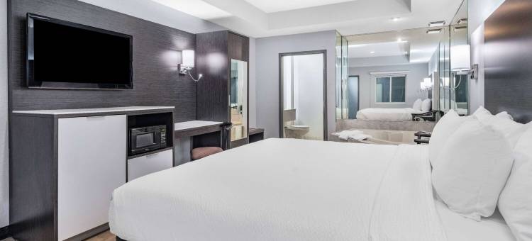 温德姆戴斯套房酒店-尼亚加拉瀑布/布法罗(Days Inn & Suites by Wyndham Niagara Falls/Buffalo)图片