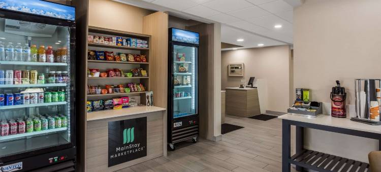 布恩波纳伊斯 - 坎卡基美茵斯坦套房酒店(MainStay Suites Bourbonnais - Kankakee)图片