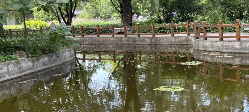 红大日租公寓(独立路1号分店)图片