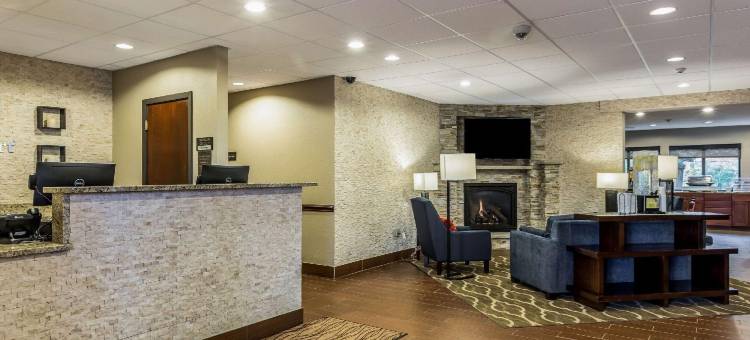 舒适酒店(Comfort Inn)图片