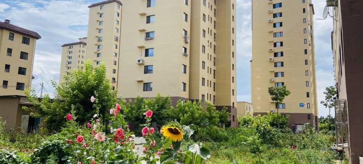 汤圆民宿(陵园街2号分店)图片