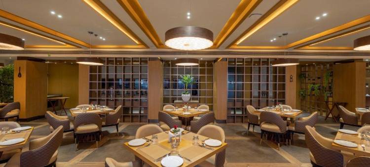 莫尔比萨罗瓦门廊酒店(Sarovar Portico Morbi)图片
