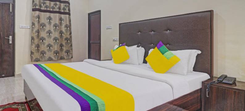 阿尔比酒店，靠近昌迪格火车站(Hotel Albie Stay,Near Railway Station Chandigarh)图片