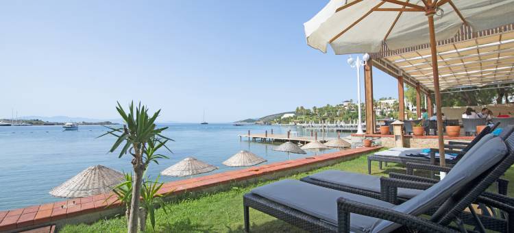 Costa Luvi酒店(音译)(COSTA LUVİ HOTEL)图片